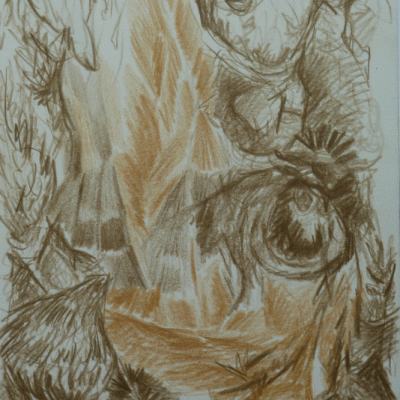Multitude.5