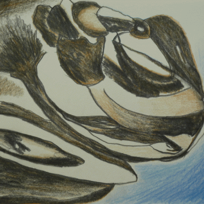 Peuple animal.2