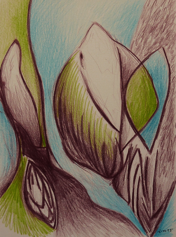Terre pourpre.2