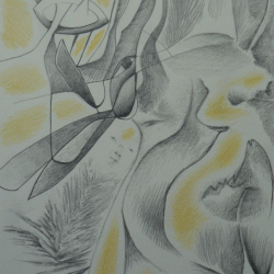 Etres imaginaires.2