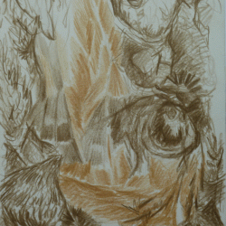 Multitude.5