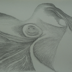 Paysages imaginaires.5