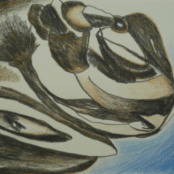 Peuple animal.2