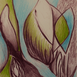 Terre pourpre.2